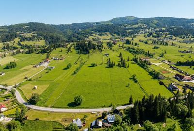 Vanzare 16700 - 9 loturi - Plaiul Sarului la sosea- microdezvoltare langa oras - 1