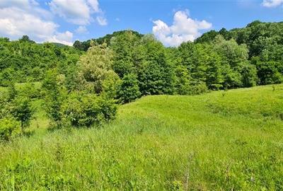 Teren 2033 mp- langa padure-  Margineni- Podis Dubas - 6