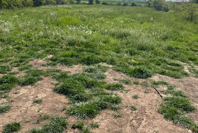 Dascalu 17 km Bucuresti , 1040mp , locul ideal pentru o locuinta familiara!! - 5