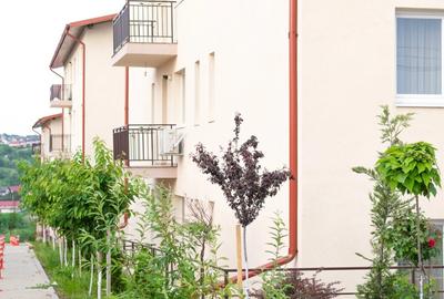 Apartament 2 camere Valea Lupului - 10
