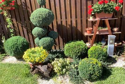 Proprietate exclusivista cu design rafinat si facilitati premium—Sfantu Gheorghe - 2