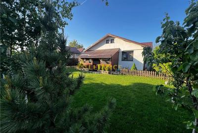 Casă cu 4 camere în Berceni