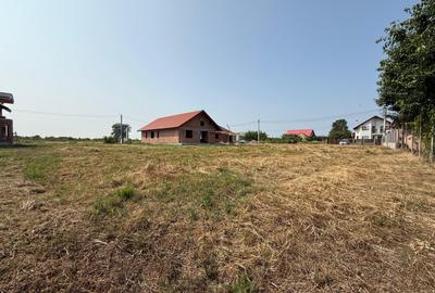 Inchiriem viitorul pe metru patrat, teren 800 mp, intravilan- Peciu Nou - 1