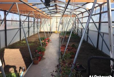 Casa de vacanta P+M,anexa de exploatatatie agricola - 10