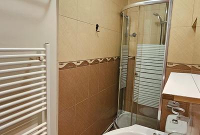 Casa Cenreul Civic-Mesota,mobilata-utilata,500 Euro - 5