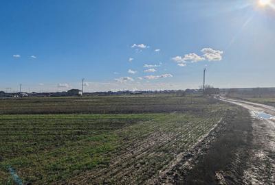 Teren Joita -  Bacu - Dragomiresti - 1