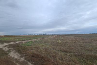 Oază de Natură și Potențial: Teren de 48.100 mp lângă Delta din Carpați - 12