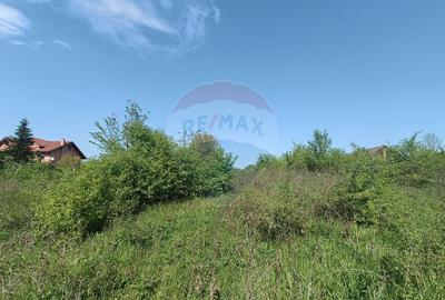 Vanzare Teren Constructii Langa Lac și Padure | Branesti | Ocazie! - 8