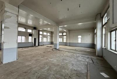 Vanzare spatiu industrial/cladire birouri Rahova - Margeanului, Bucuresti - 6