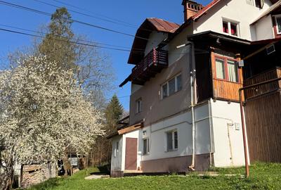 Apartament la curte Predeal - 2