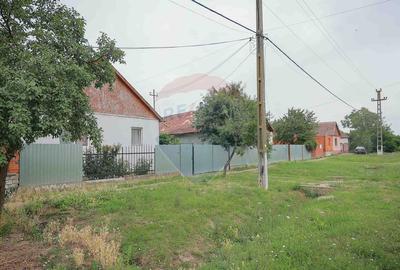 De vanzare casa cu 3 camere si teren 3205 mp in Sannicolau Roman - 5