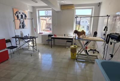 Vanzare imobil D+P+2+M Sebastian LIDL ideal clinica/birouri/rezidenta - 5