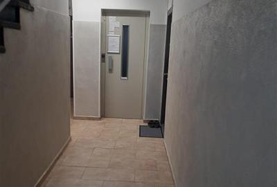 Apartament 2 camere decomandat, situat intre parcul Tei si Circului - 3