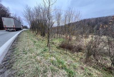 Teren intravilan 6.500 m²–Deschidere 144 ml drum european E81, km 35, Morăresti - 2