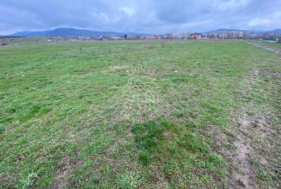 Teren Intravilan 550 mp-ideal casa-Zona Zavoaie - 4