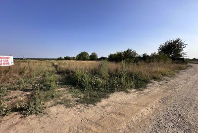 Teren Tancabesti intravilan iesire la lac Snagov - 10