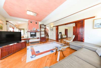 Vila/Proprietate Speciala, 500mp utili, 3300mp teren, Sangeorgiu de Ms - 17