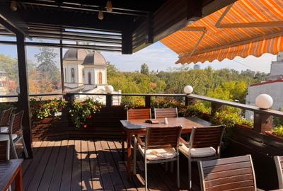 Cismigiu, priveliste superba,  vila consolidata si renovata total. - 1