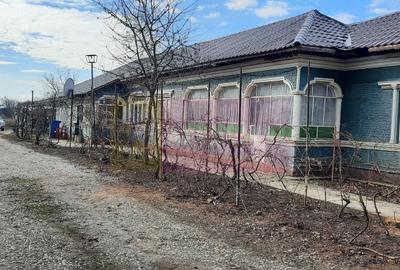 Hală producție Ambalaje Carton și casă locuibilă la 25km de București - 6