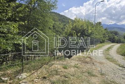 Teren extravilan 2.300 mp – Cârțișoara, județul Sibiu - 5