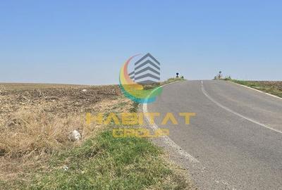 Teren intravilan – PUZ aprobat, utilitati 150m, asfalt - Ambient Lake Events - 4