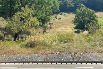 Teren intravilan 2600 mp - pretabil casa/investitie-Zona Aerodrom - 6