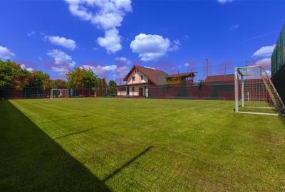 Domeniu superb - vila S+P+M si teren - 6