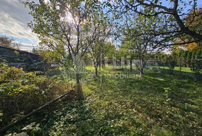 Casa individuala 2 camere | Teren 770mp | Front 12ml | Dambul Rotund - 1