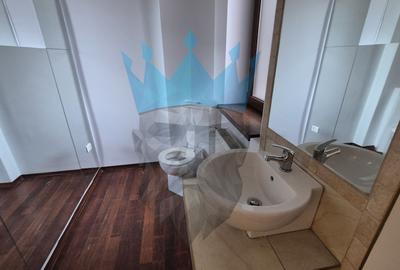 Spatiu Birou Gradina Icoanei Dacia Bucuresti - 7