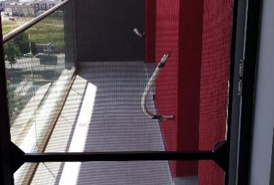 Splai-Lacul Morii-Crangasi, doua camere decomandate, nemobilat, loc parcare. - 15