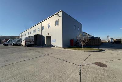 Cladire industriala; productie, logistica; 3026mp, Dumesti - 15