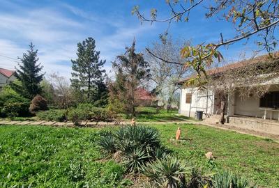Casă la țară de vânzare în Tartășești – refugiu de relaxare aproape de București - 5