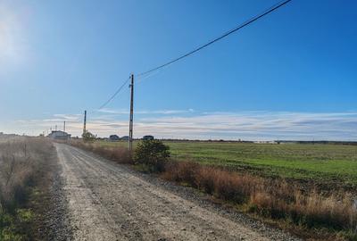 Teren de vanzare in Balotesti - 22.819 mp cu PUZ aprobat.