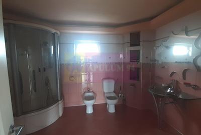 Două Etaje în Vilă în zona Voluntari de Închiriat - 29