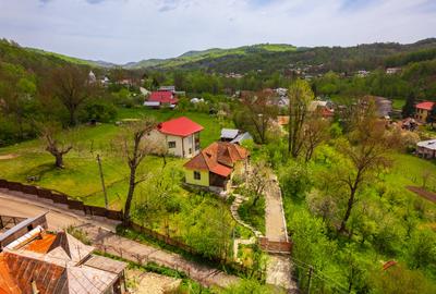 Provita de Sus, Prahova, Casa renovata, Comision 0 % - 31