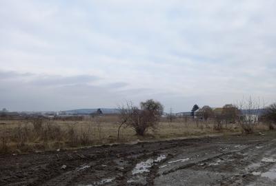 Teren Construcții intravilan de 4000 mp, în Mureșeni