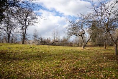 Teren intravilan, cu PUZ, Bran Tohanita,  SE ACCEPTĂ ȘI SCHIMB - 21