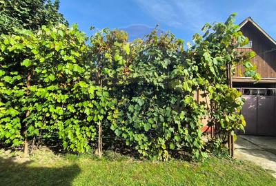Casă de vanzare 3 camere Gherla - 42