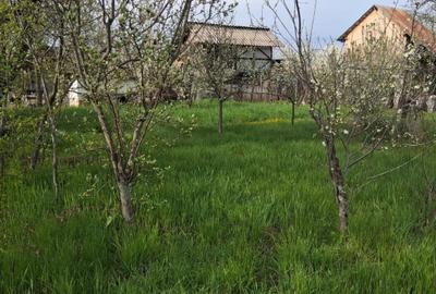 Teren intravilan cu casa batraneasca - 1