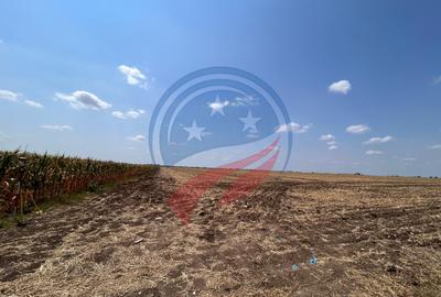 Teren intravilan 5087 mp de vânzare – Pielești - 5