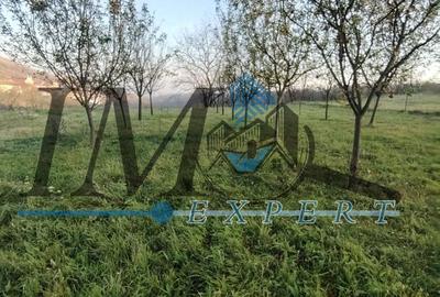 Teren intravilan în Paclisa 1785mp. - 6