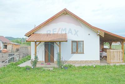 Casa de vacanta + Teren intravilan Acris | Vama Buzaului | 2551 mp - 1