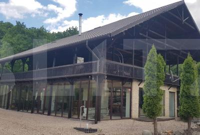 Investitie ! Casa de vacanta 350 mp utili ,teren 3000 mp in Faget ! - 2