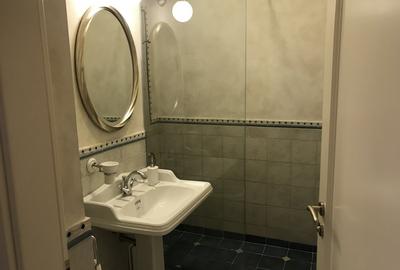Soseaua Nordului - Herastrau, duplex 2 camere, mobilat utilat modern, terasa - 20