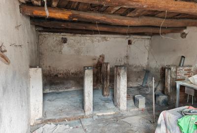 Casa 4 camere libera la vanzare HALCHIU - 16