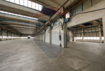 Hala Industriala Aeroport Brasov | Yield 15–26% | Ready-to-Operate - 4