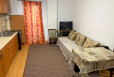 Apartament 2 camere de inchiriat-Zona Doamna Stanca - 20