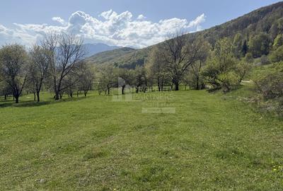 Terenuri Bran - Predelut  Priveliște către Bucegi și Postăvaru - 1