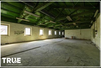 Hală de producție și depozitare - Voiniceni, Mureș - 15