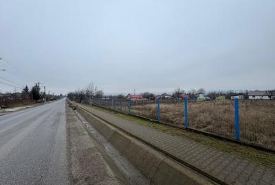 Vanzare Teren Intravilan 1800 mp Tiganasi Acces DJ Iasi-Botosani - 2